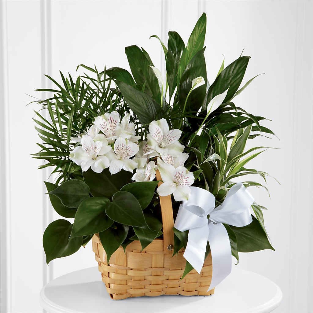Peace & Serenity Dishgarden – Star Market, West Bridgewater MA