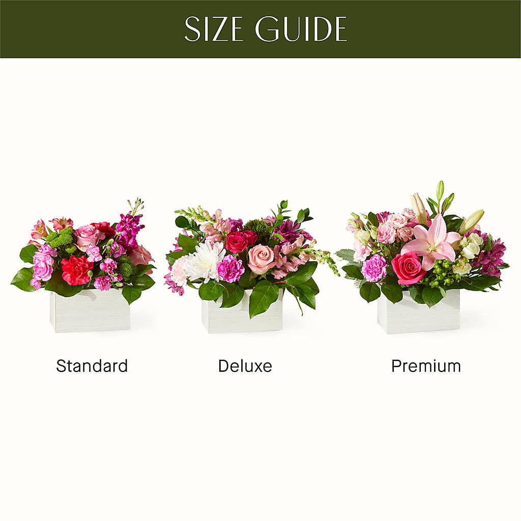 Sweetberry Box – A Florist Original – Star Market, West Bridgewater MA