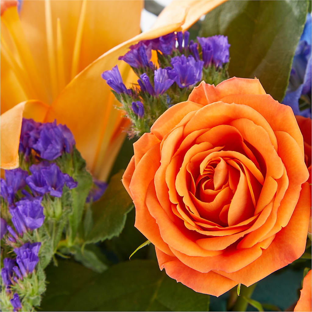 Radiant Citrus Box Bouquet – Star Market, West Bridgewater MA