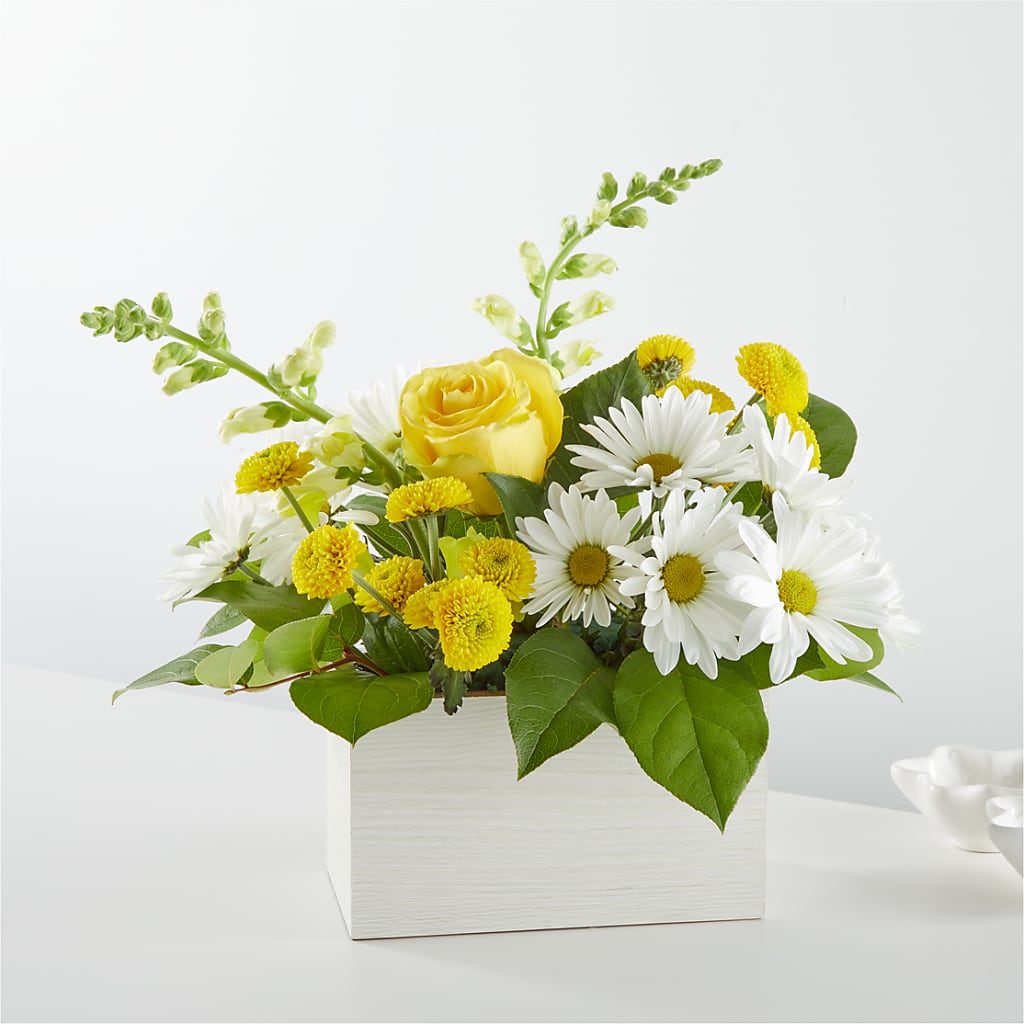 Sun Salutation Box Bouquet – Star Market, West Bridgewater MA