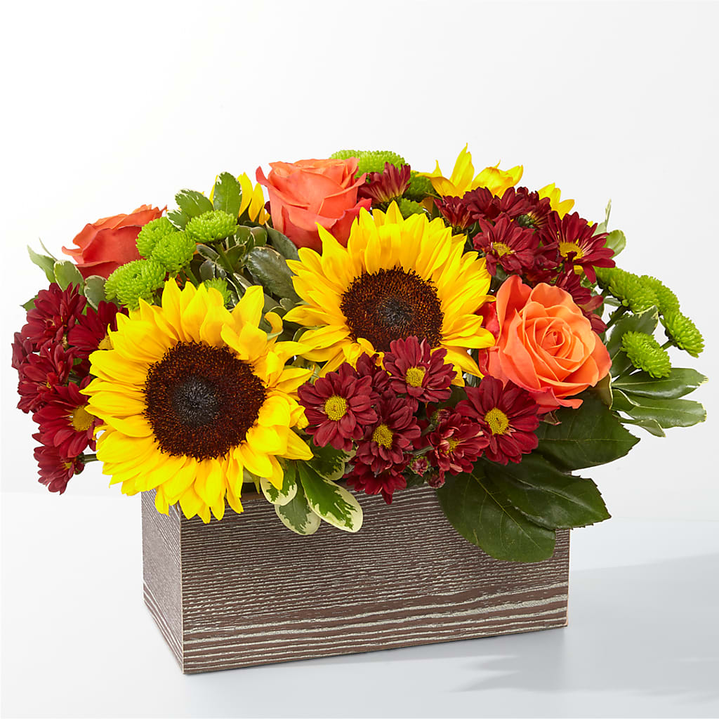 Happy Harvest Garden – Star Market, West Bridgewater MA