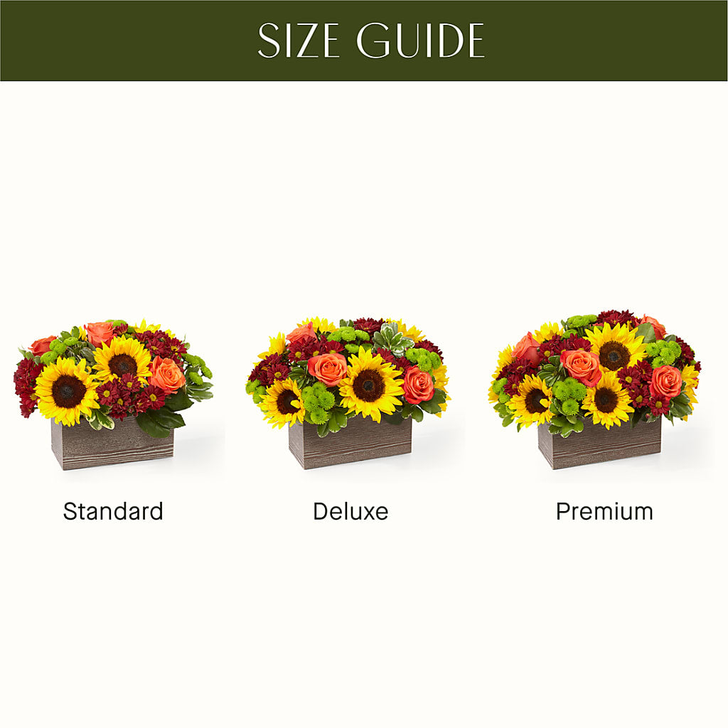Happy Harvest Garden – Star Market, West Bridgewater MA