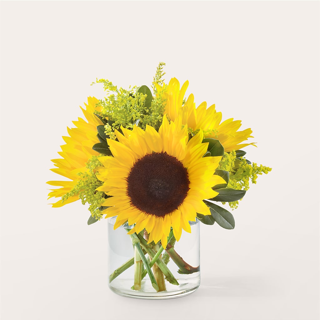 Beaming Sunflower Bouquet – Star Market, West Bridgewater MA
