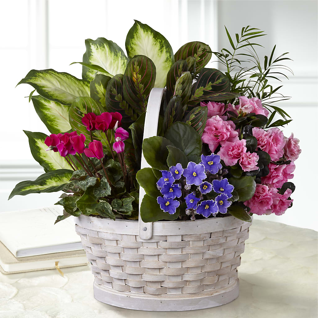 Peaceful Garden Planter – Star Market, West Bridgewater MA