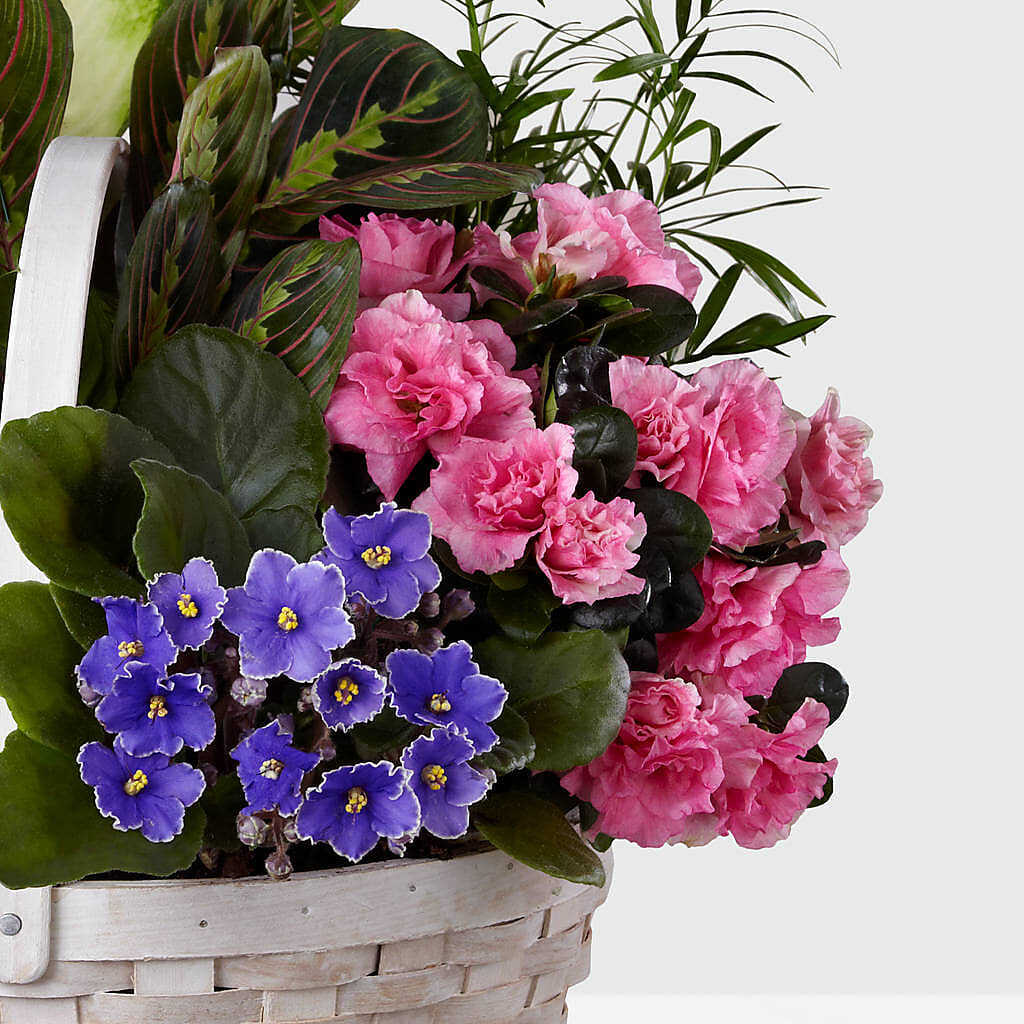 Peaceful Garden Planter – Star Market, West Bridgewater MA