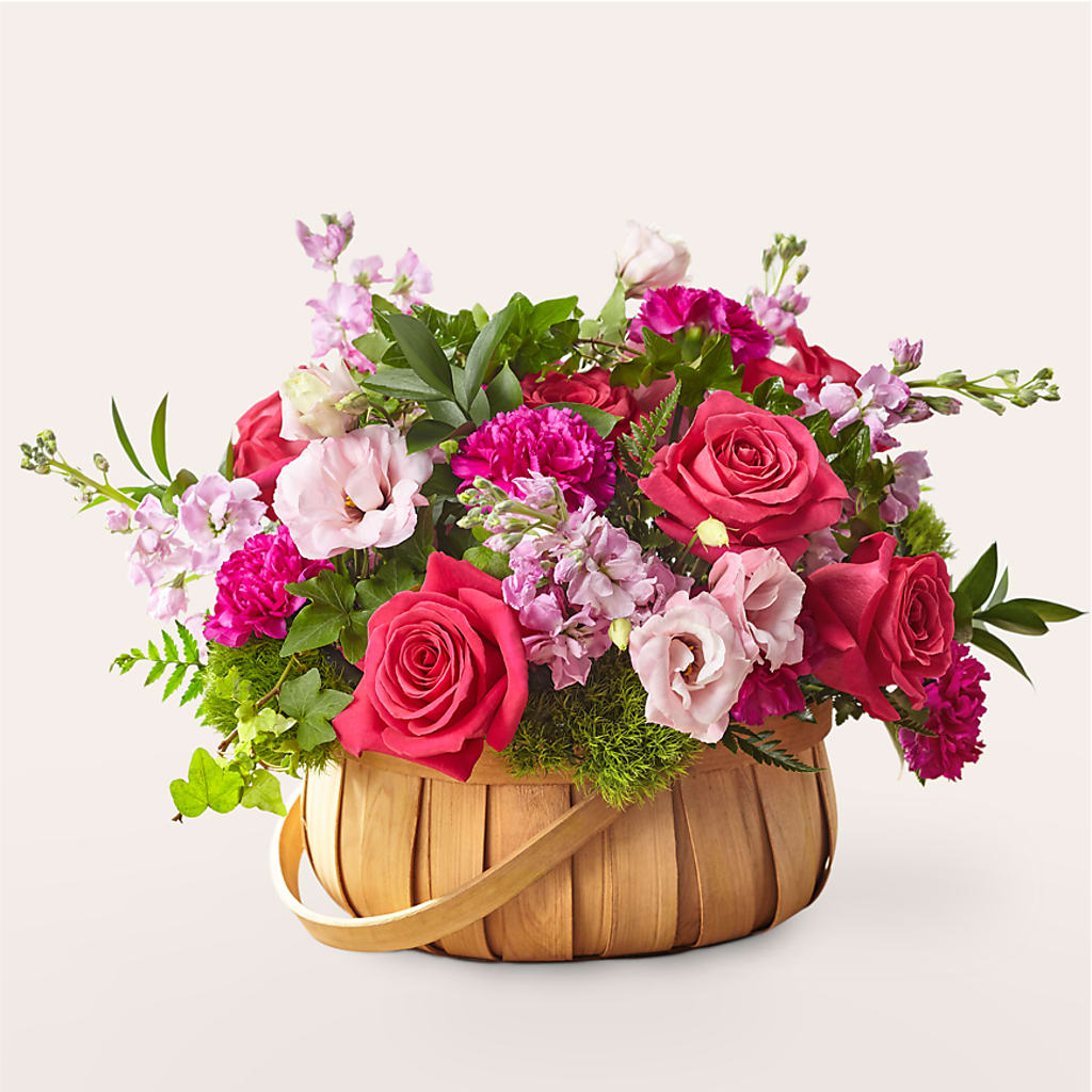 Radiance in Bloom Basket – Star Market, West Bridgewater MA
