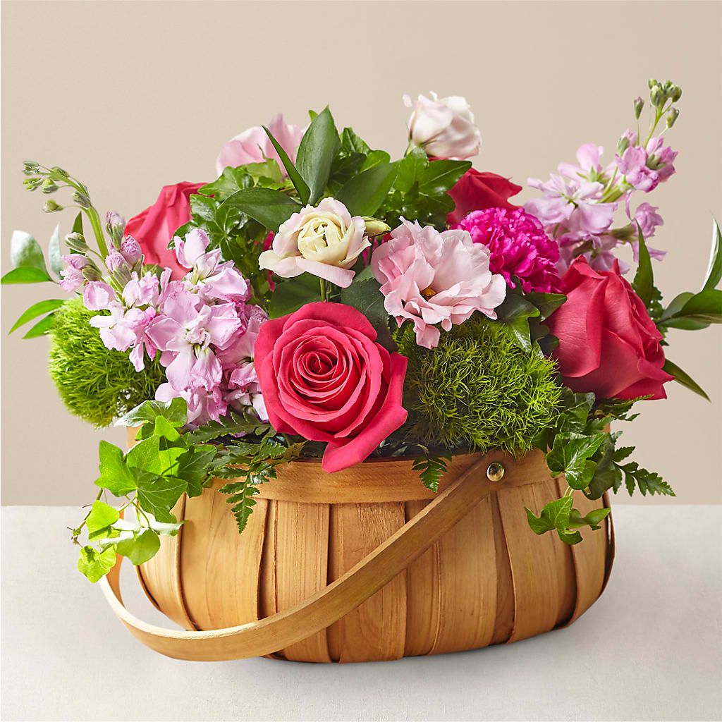Radiance in Bloom Basket – Star Market, West Bridgewater MA