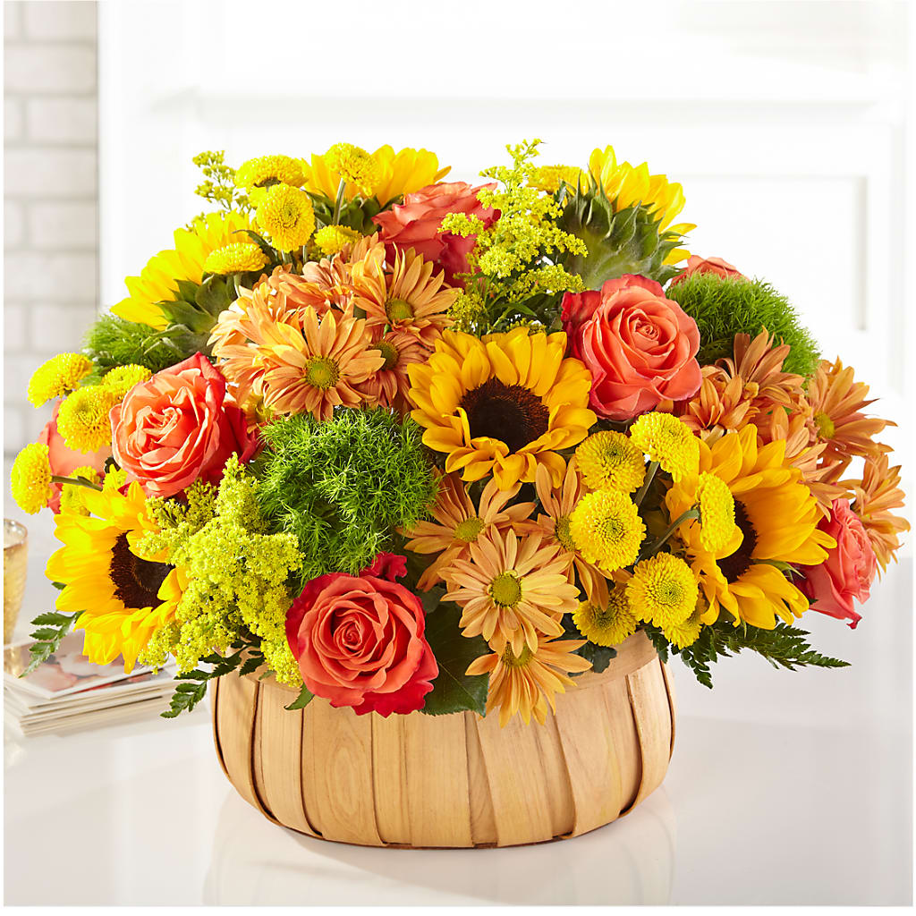 Harvest Sunflower Basket – Star Market, West Bridgewater MA