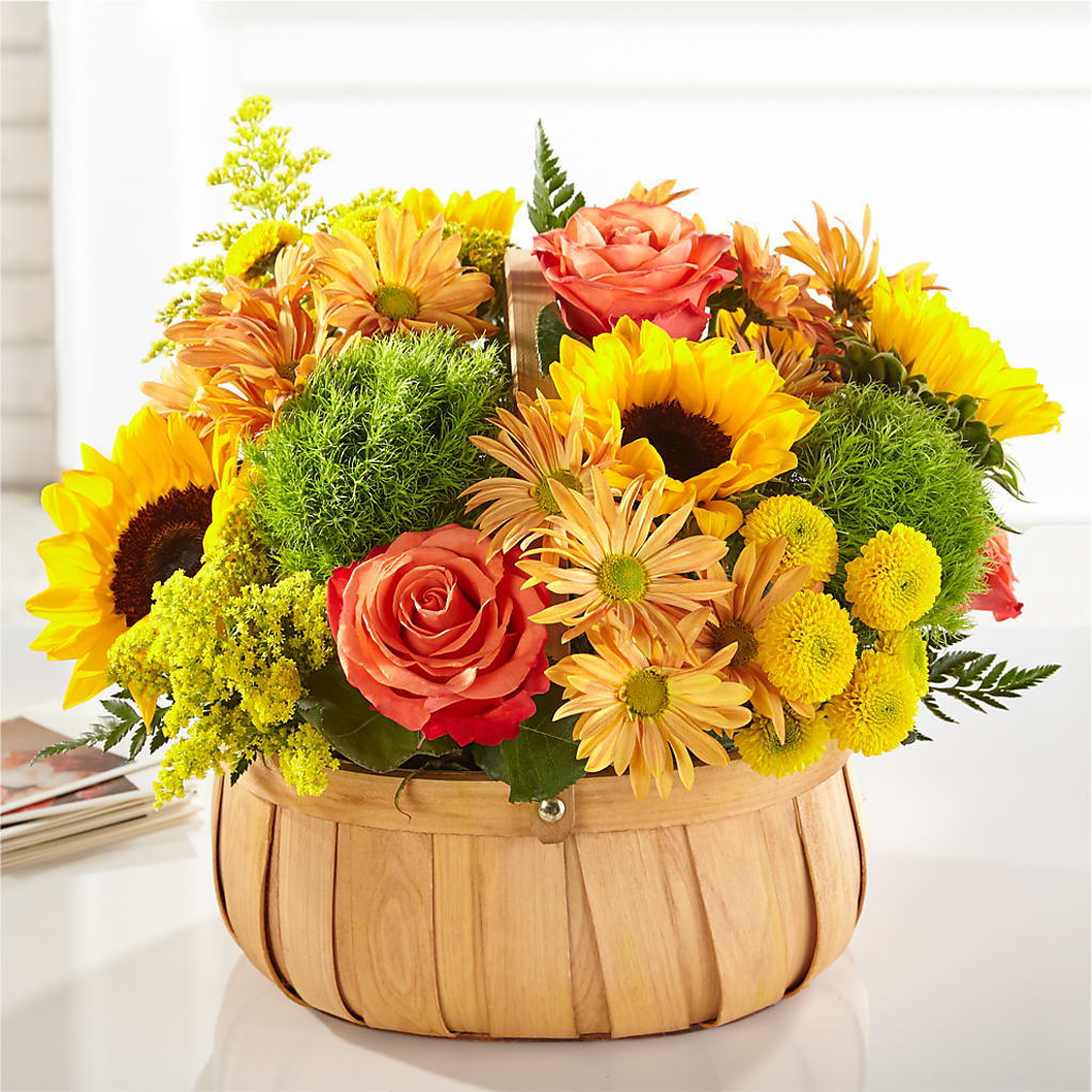 Harvest Sunflower Basket – Star Market, West Bridgewater MA
