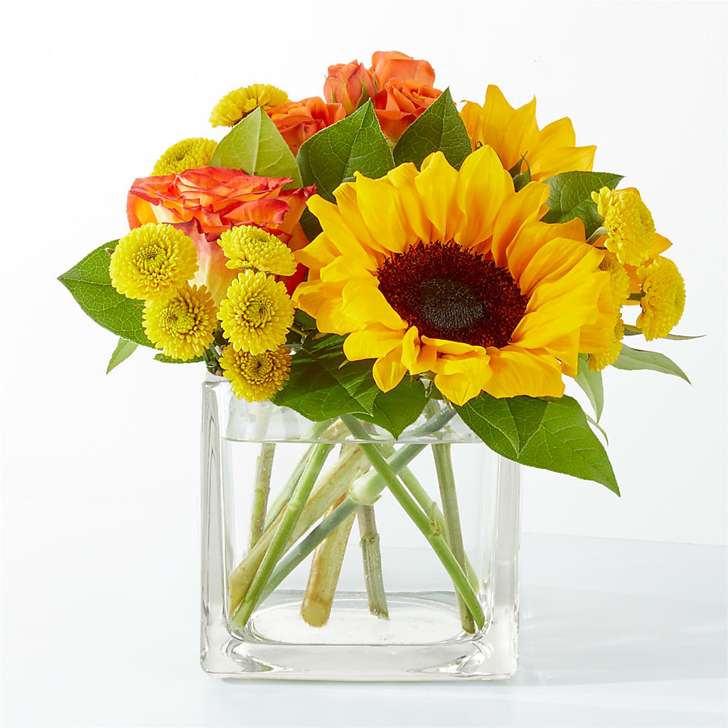 Picnic in the Park Bouquet – Star Market, West Bridgewater MA