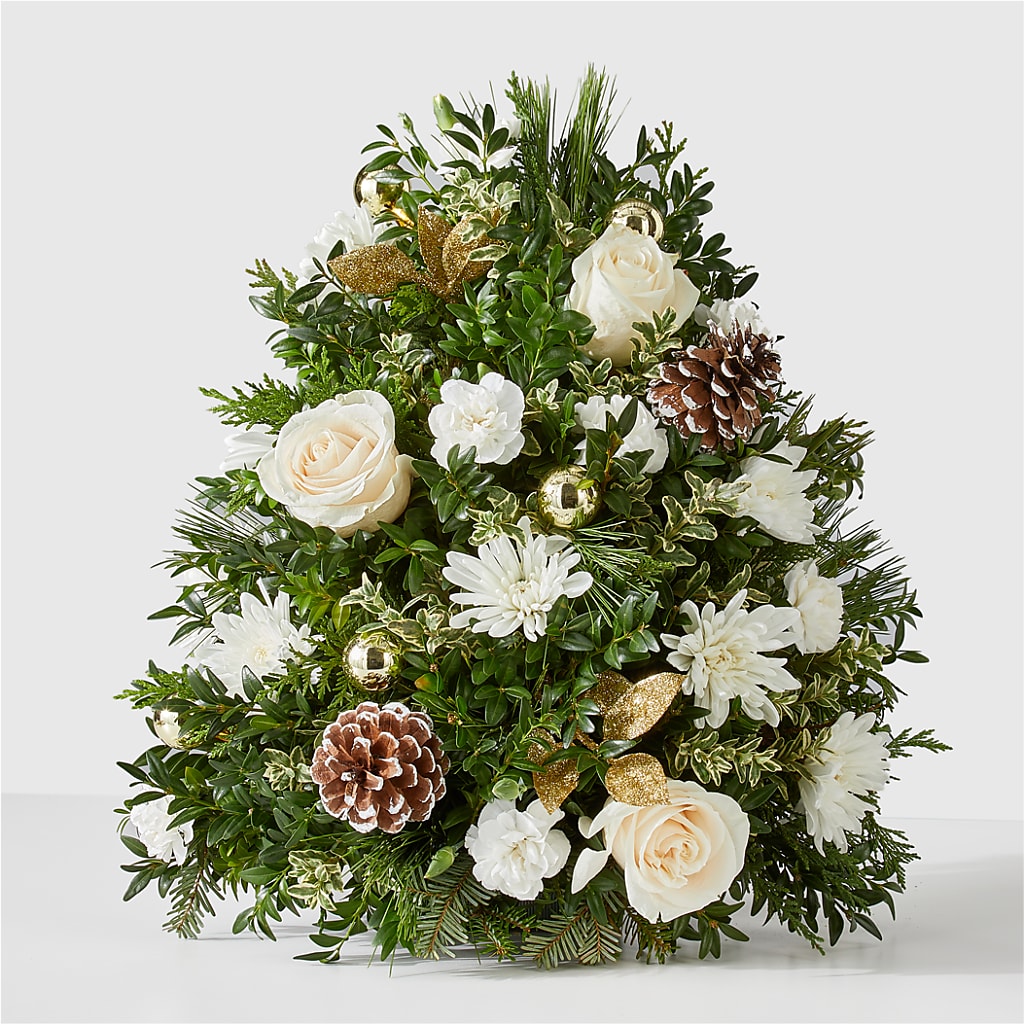 Snowed In Tree – Star Market, West Bridgewater MA