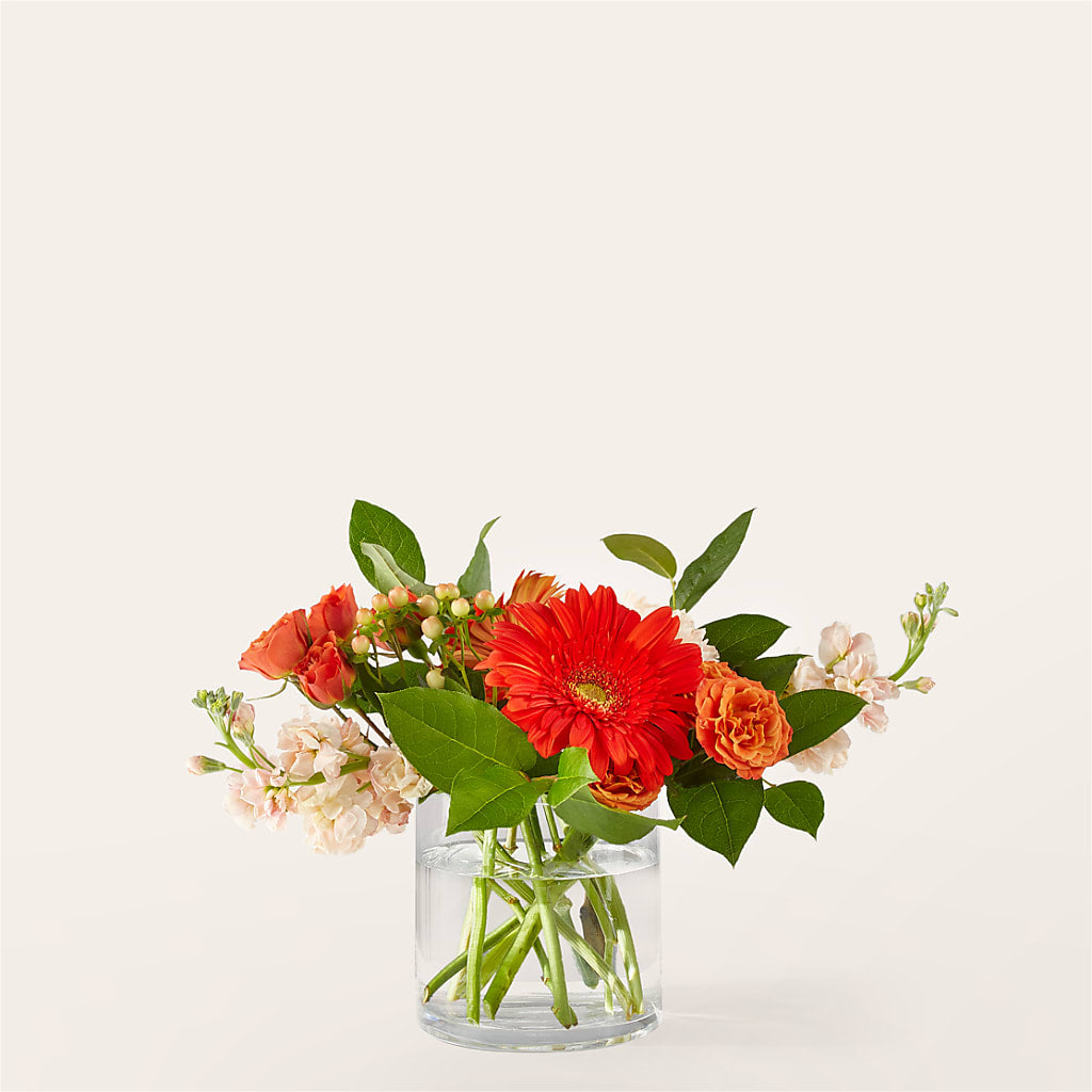 Paloma Please Bouquet – Star Market, West Bridgewater MA