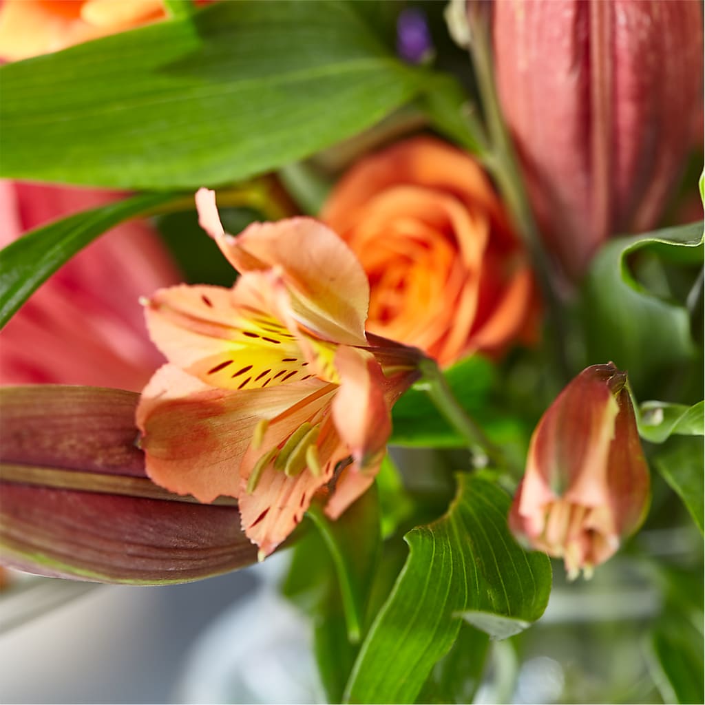 Bold & Bright – A Florist Original –  Star Market, West Bridgewater MA