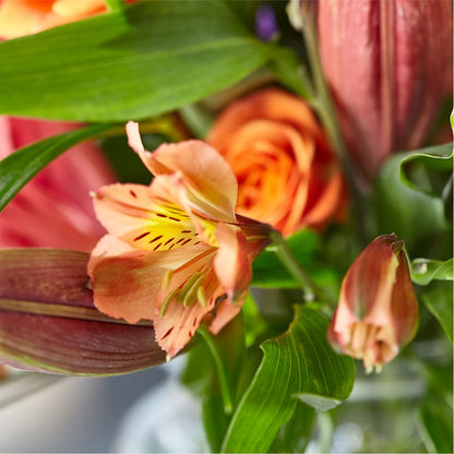 Bold & Bright – A Florist Original –  Star Market, West Bridgewater MA