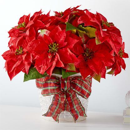 Happiest Holidays Poinsettia –  Star Market, West Bridgewater MA