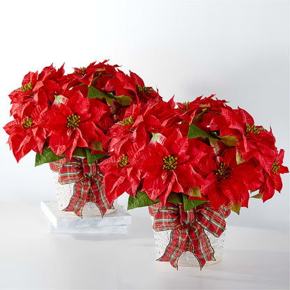 Happiest Holidays Poinsettia Bundle –  Star Market, West Bridgewater MA