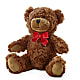 Adorable Plush Bear –  Star Market, West Bridgewater MA
