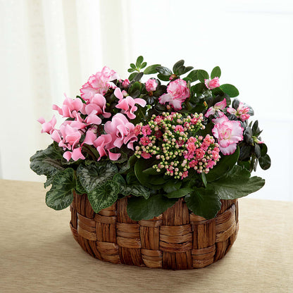 Pink Assortment –  Star Market, West Bridgewater MA