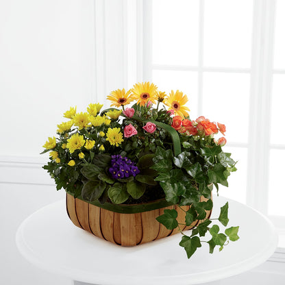 Gentle Blossoms Basket –  Star Market, West Bridgewater MA