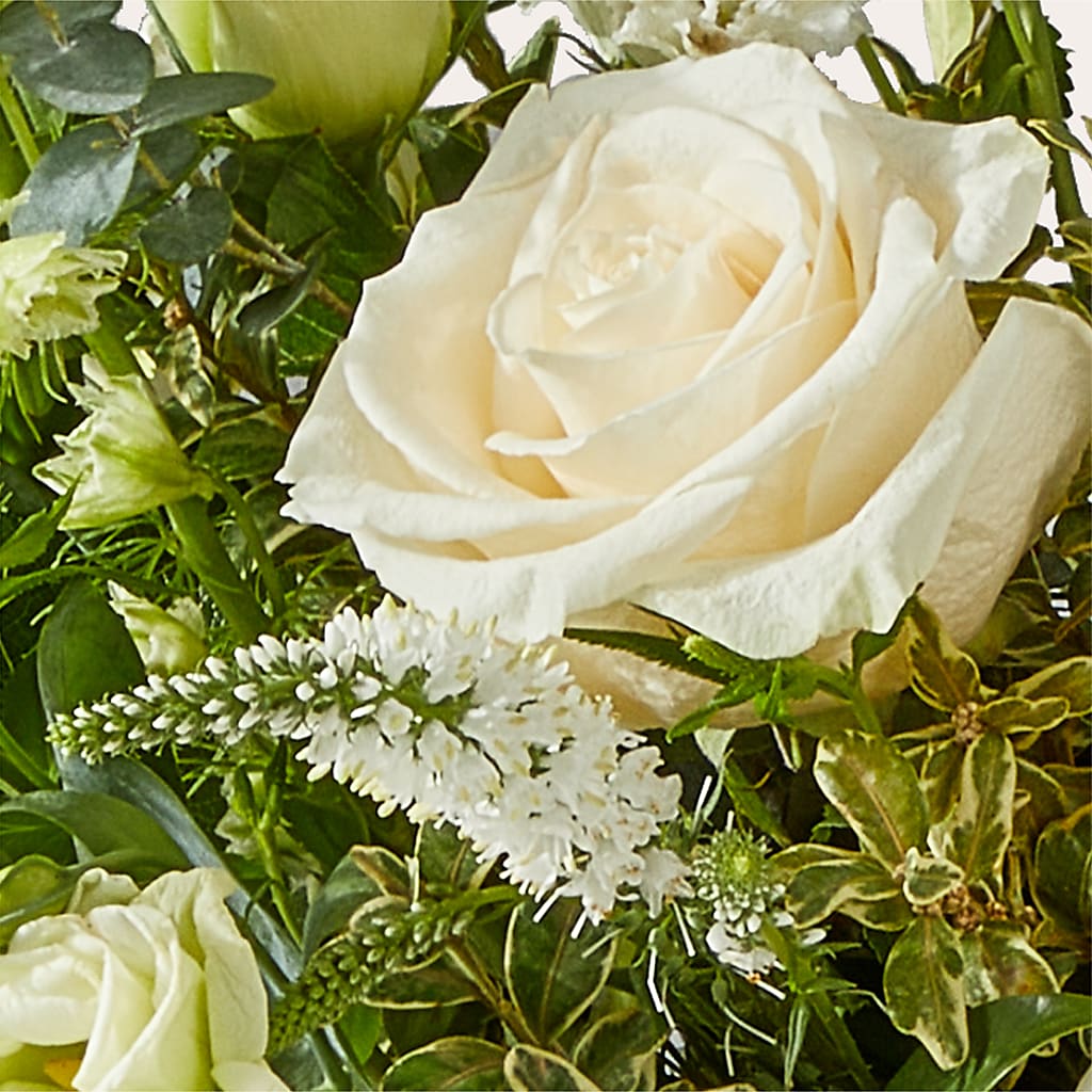 Cashmere Bouquet –  Star Market, West Bridgewater MA