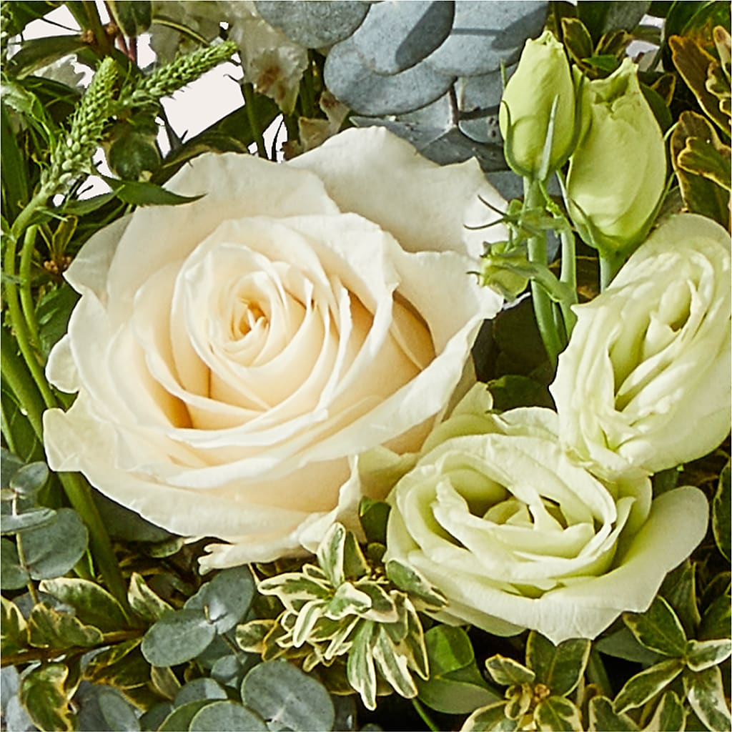 Cashmere Bouquet –  Star Market, West Bridgewater MA