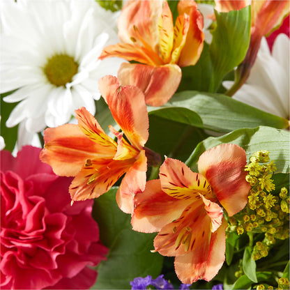 Oopsie Daisy Box Bouquet –  Star Market, West Bridgewater MA
