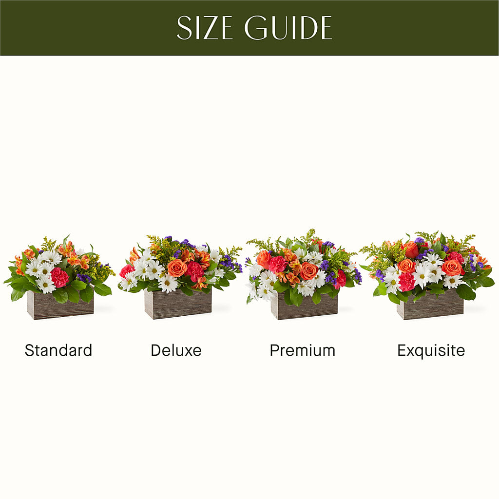 Oopsie Daisy Box Bouquet –  Star Market, West Bridgewater MA