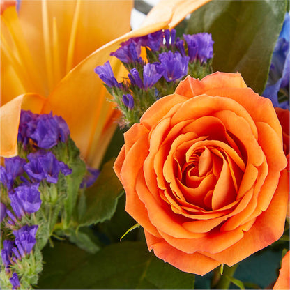 Radiant Citrus Box Bouquet –  Star Market, West Bridgewater MA