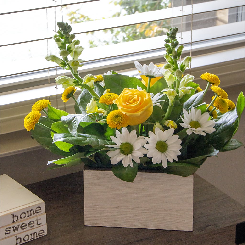 Sun Salutation Box Bouquet –  Star Market, West Bridgewater MA