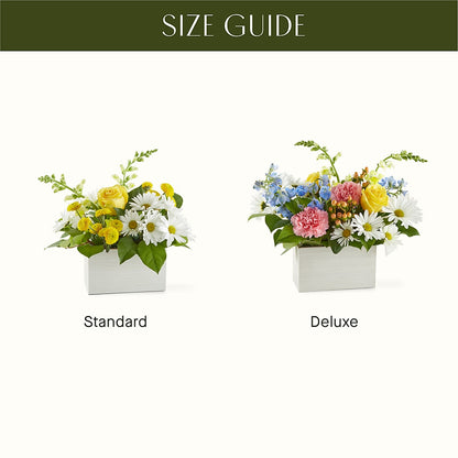 Sun Salutation Box Bouquet –  Star Market, West Bridgewater MA