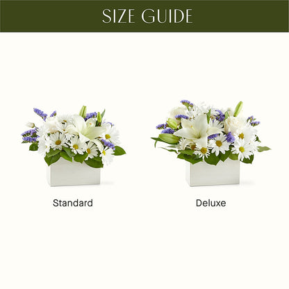 Beyond Blue Box Bouquet –  Star Market, West Bridgewater MA