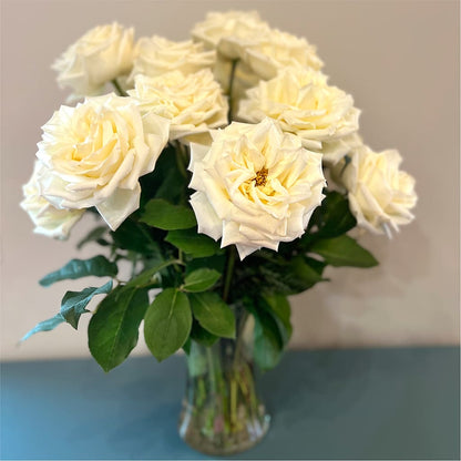 Long Stem Yellow Rose Bouquet –  Star Market, West Bridgewater MA