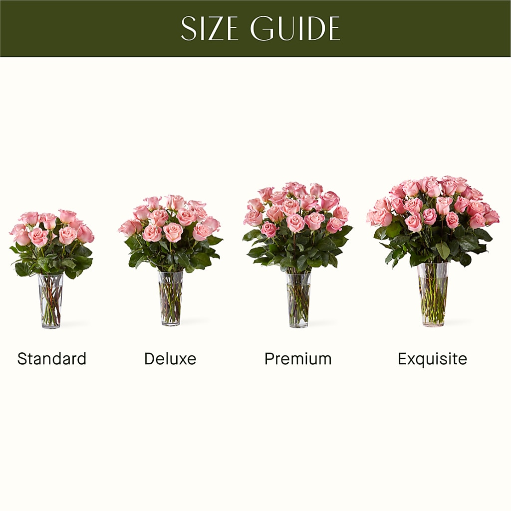 Long Stem Pink Rose Bouquet –  Star Market, West Bridgewater MA
