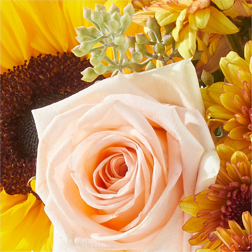 Pumpkin to Talk About Bouquet –  Star Market, West Bridgewater MA