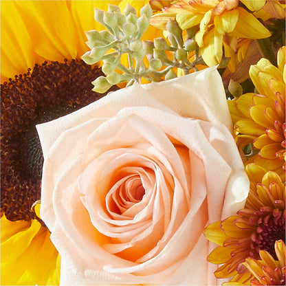 Pumpkin to Talk About Bouquet –  Star Market, West Bridgewater MA