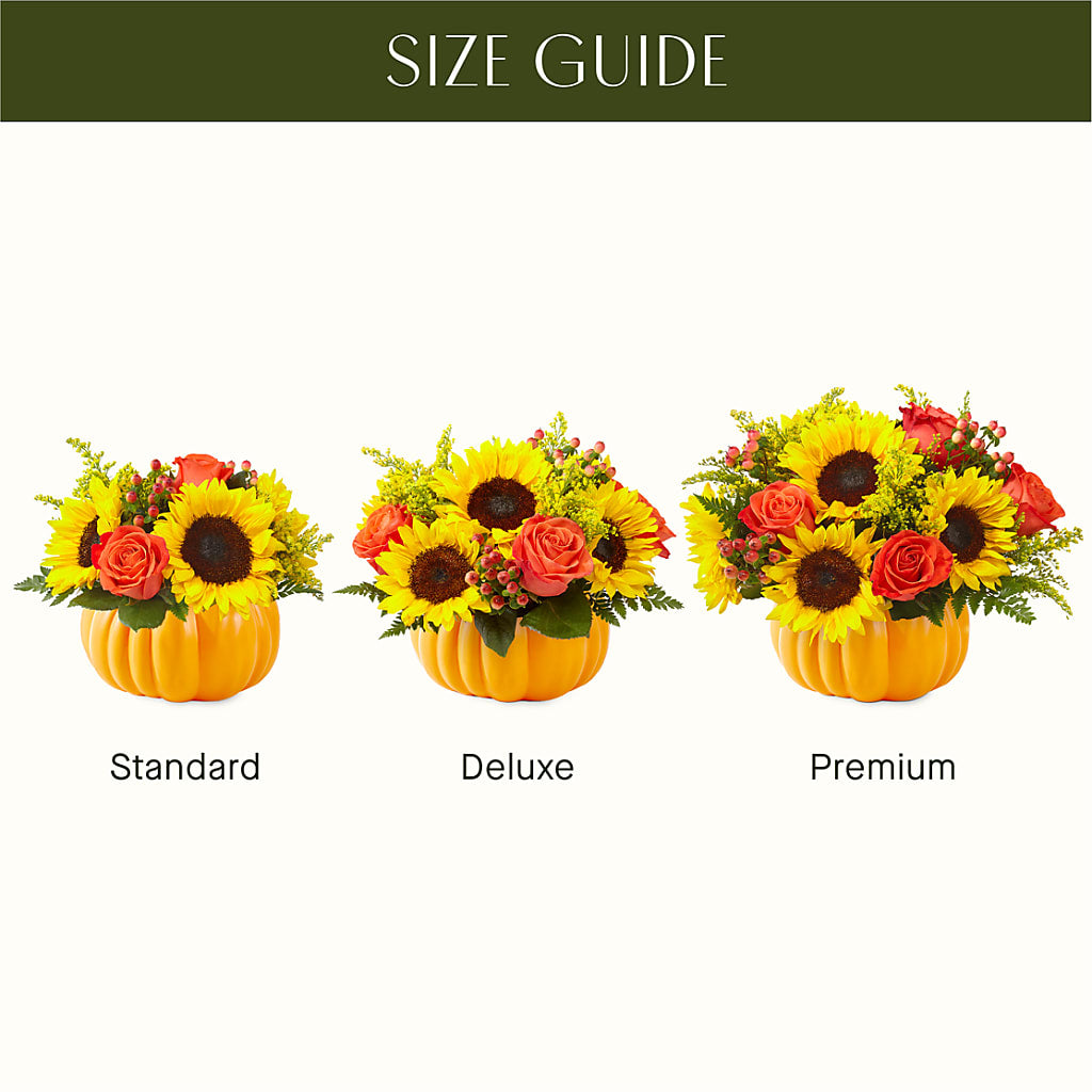 Pick of the Patch Pumpkin Bouquet –  Star Market, West Bridgewater MA