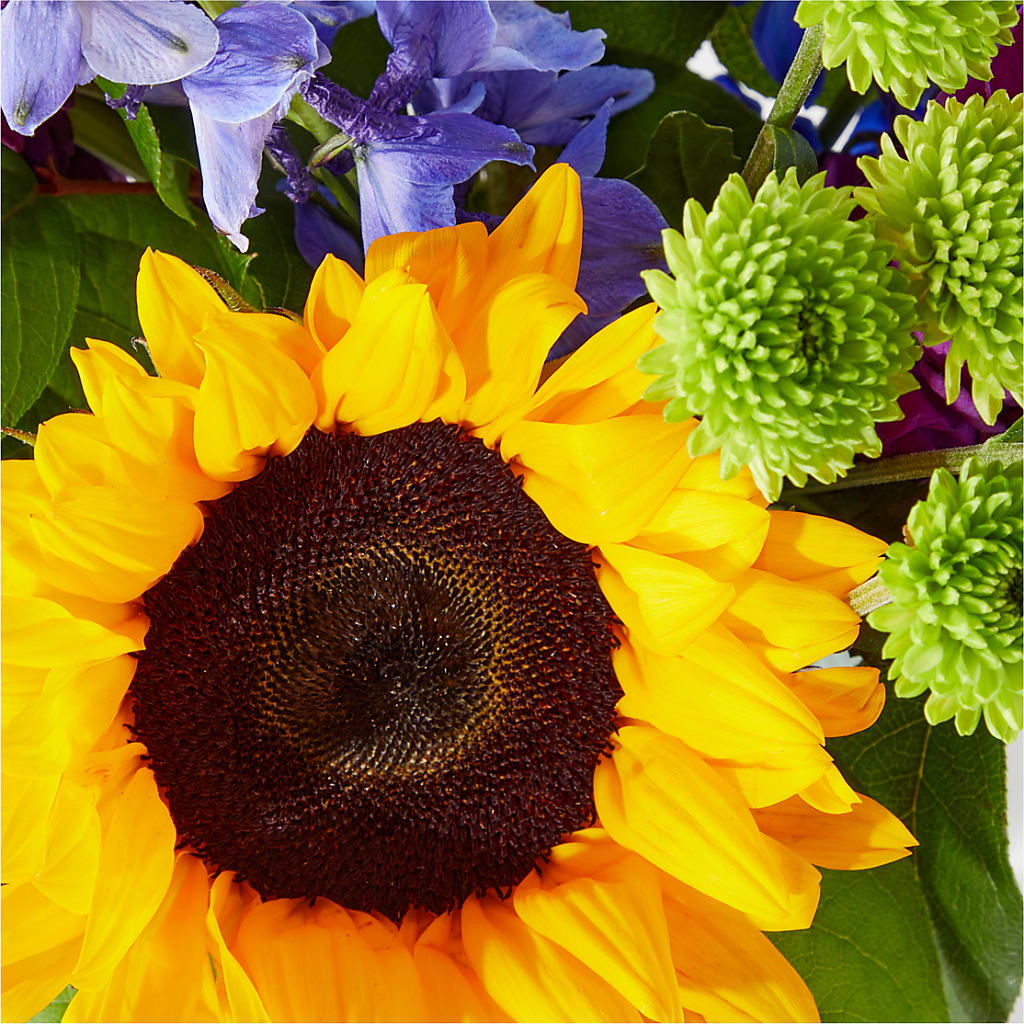 Catching Rays Bouquet –  Star Market, West Bridgewater MA