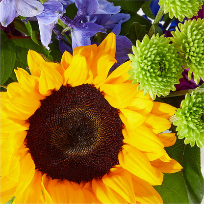 Catching Rays Bouquet –  Star Market, West Bridgewater MA