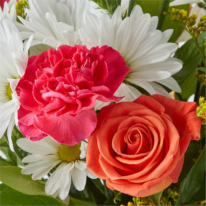 Oopsie Daisy Bouquet –  Star Market, West Bridgewater MA