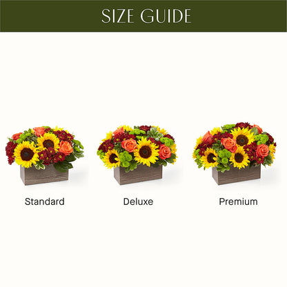 Happy Harvest Garden –  Star Market, West Bridgewater MA