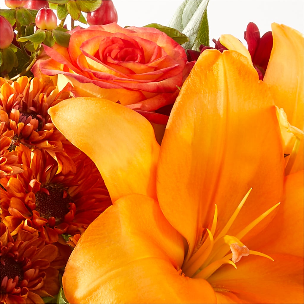 Backyard Bonfire Bouquet –  Star Market, West Bridgewater MA