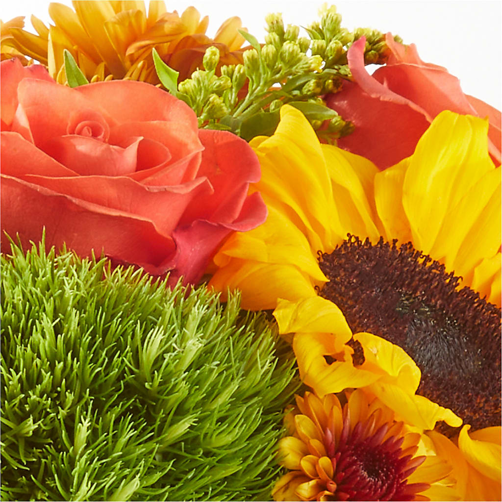 Farmer’s Market Stroll Bouquet –  Star Market, West Bridgewater MA