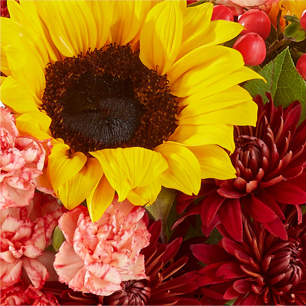 Fresh Cider Bouquet –  Star Market, West Bridgewater MA