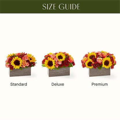 Fresh Cider Bouquet –  Star Market, West Bridgewater MA