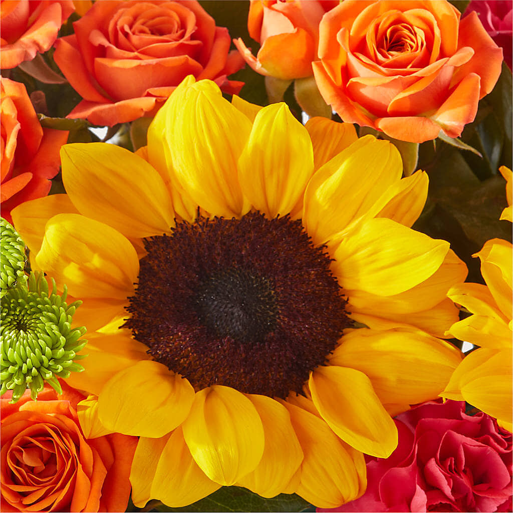 Sun-drenched Blooms Box Bouquet –  Star Market, West Bridgewater MA