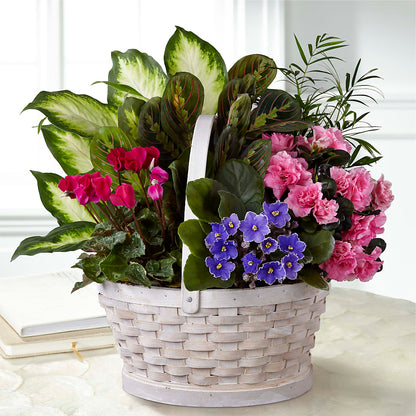 Peaceful Garden Planter –  Star Market, West Bridgewater MA