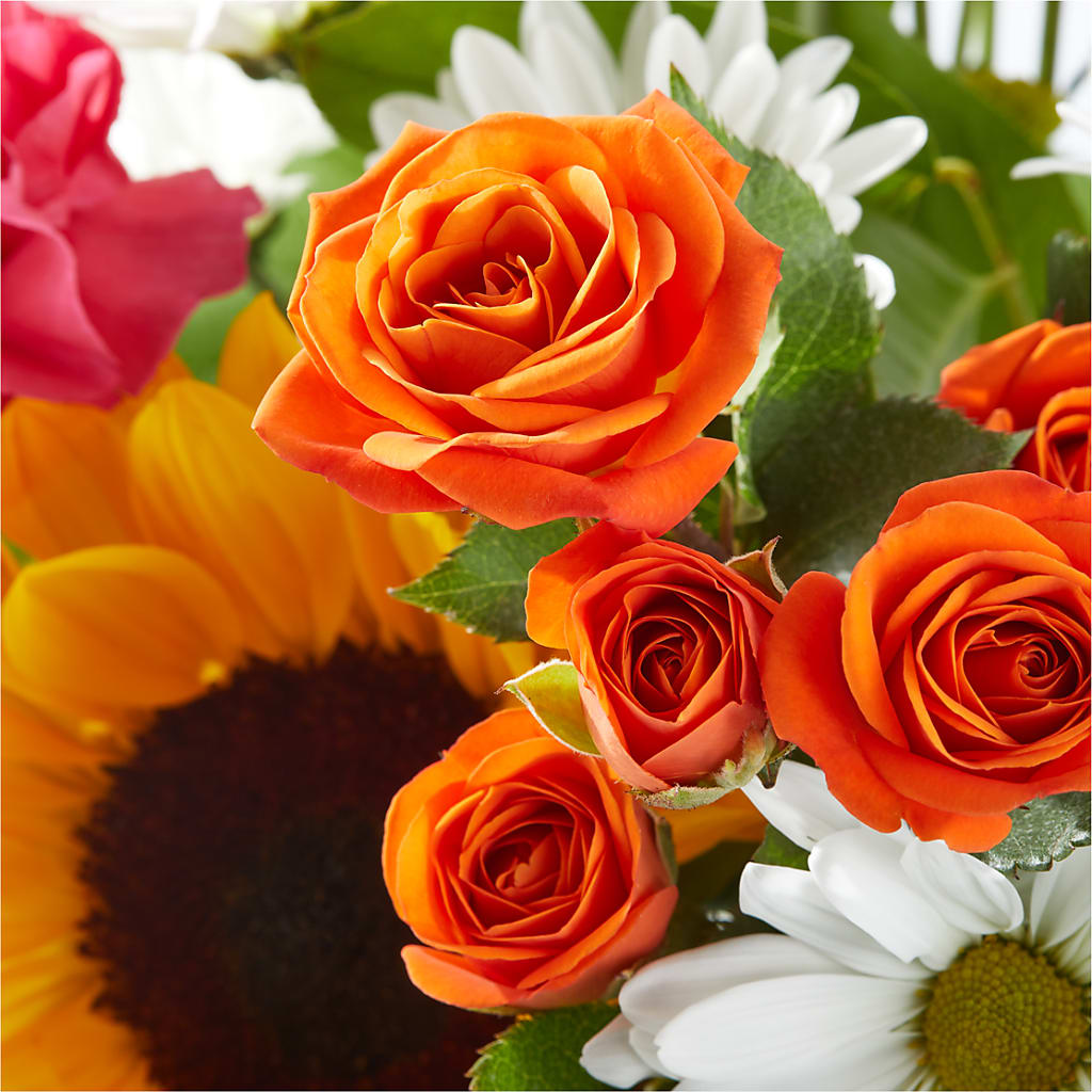Sun-drenched Blooms Bouquet –  Star Market, West Bridgewater MA