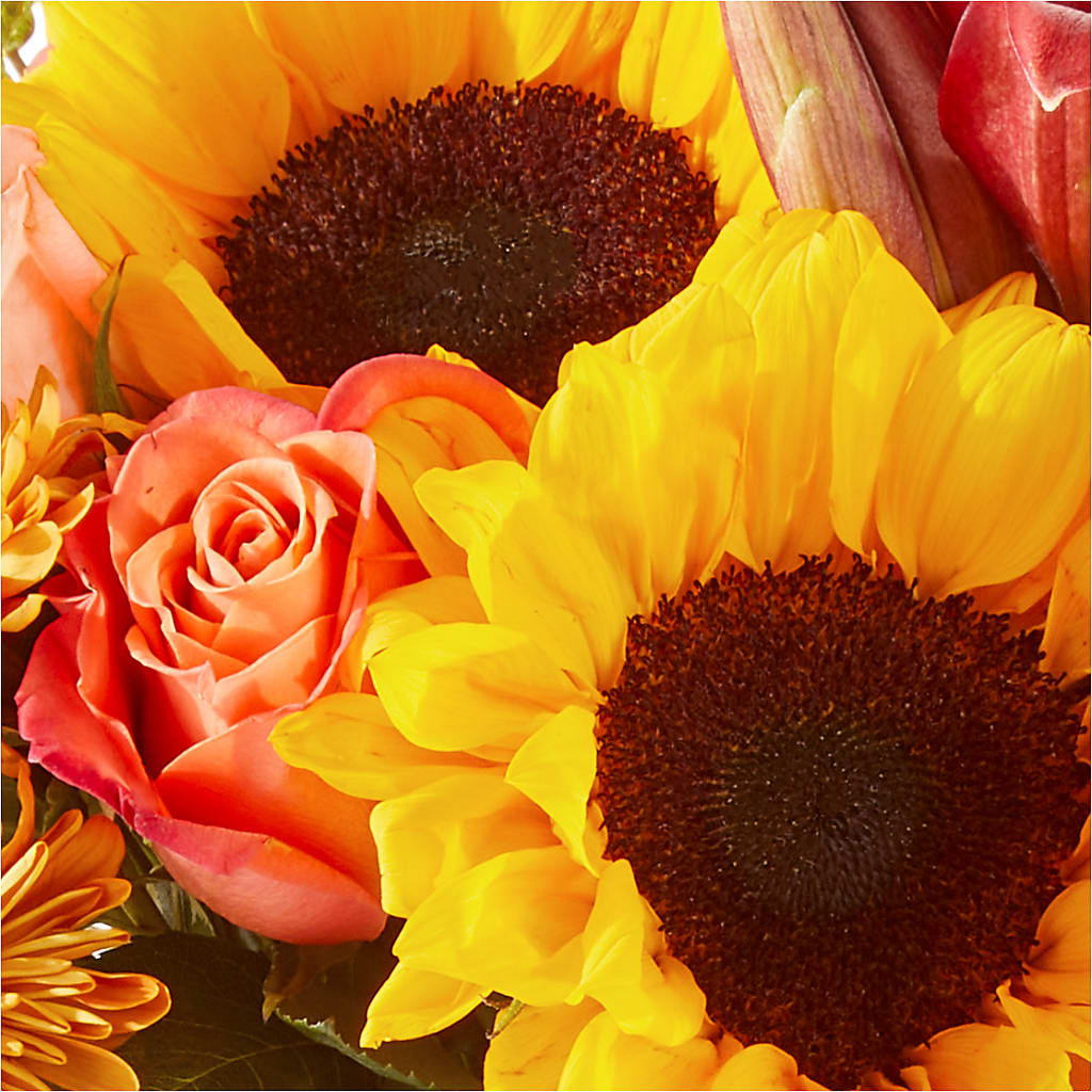 Acorn Lane Bouquet –  Star Market, West Bridgewater MA