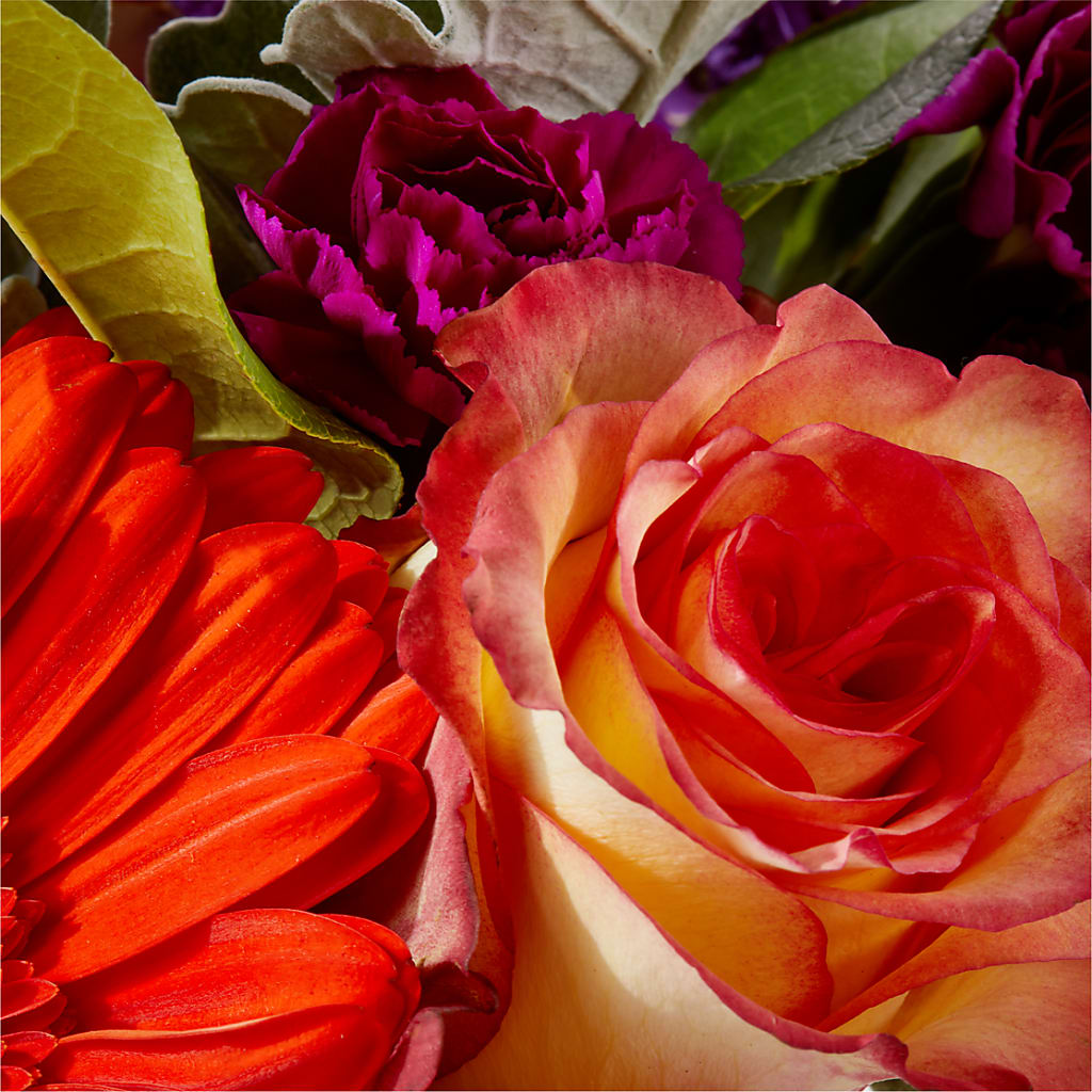 Sangria Bouquet –  Star Market, West Bridgewater MA