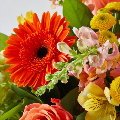 Autumn Sunshine Bouquet –  Star Market, West Bridgewater MA